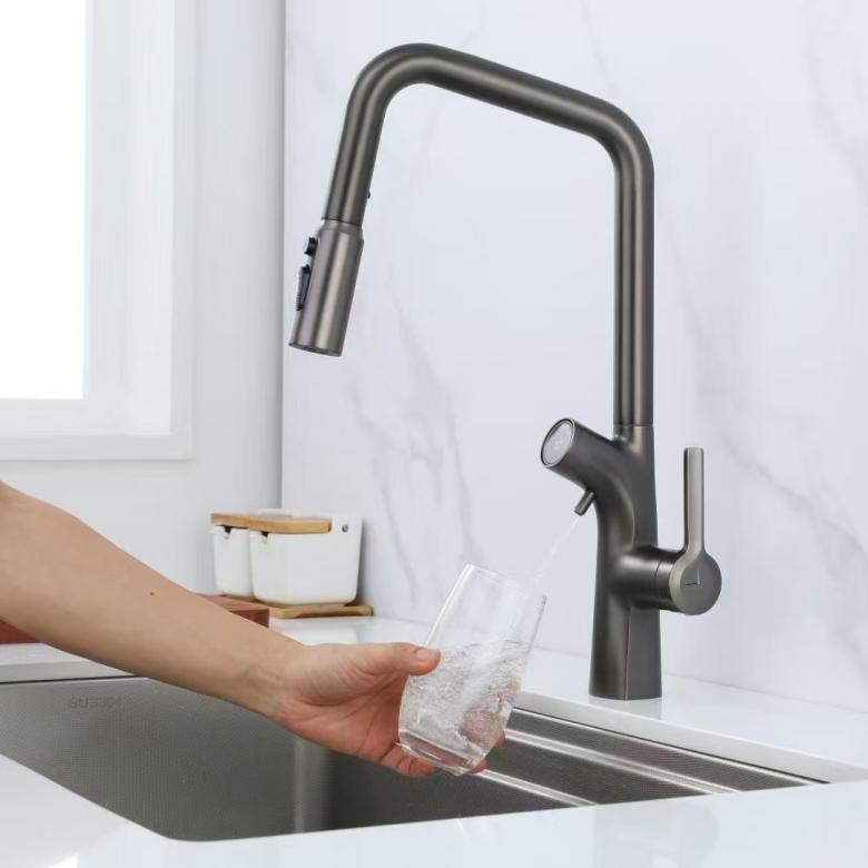 Built-in Water Purifier ပါရှိသော ဒစ်ဂျစ်တယ် ရုပ်ထွက်သုံး ပိုက်ခေါင်း